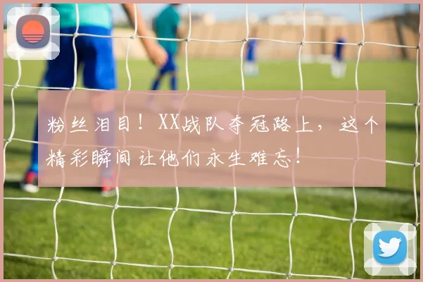 粉丝泪目!XX战队夺冠路上,这个精彩瞬间让他们永生难忘!